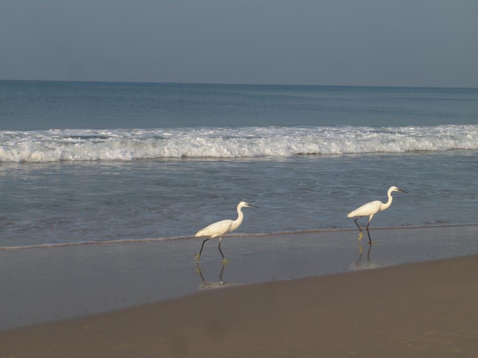 Oceanic Beach Residency Varkala Luaran gambar