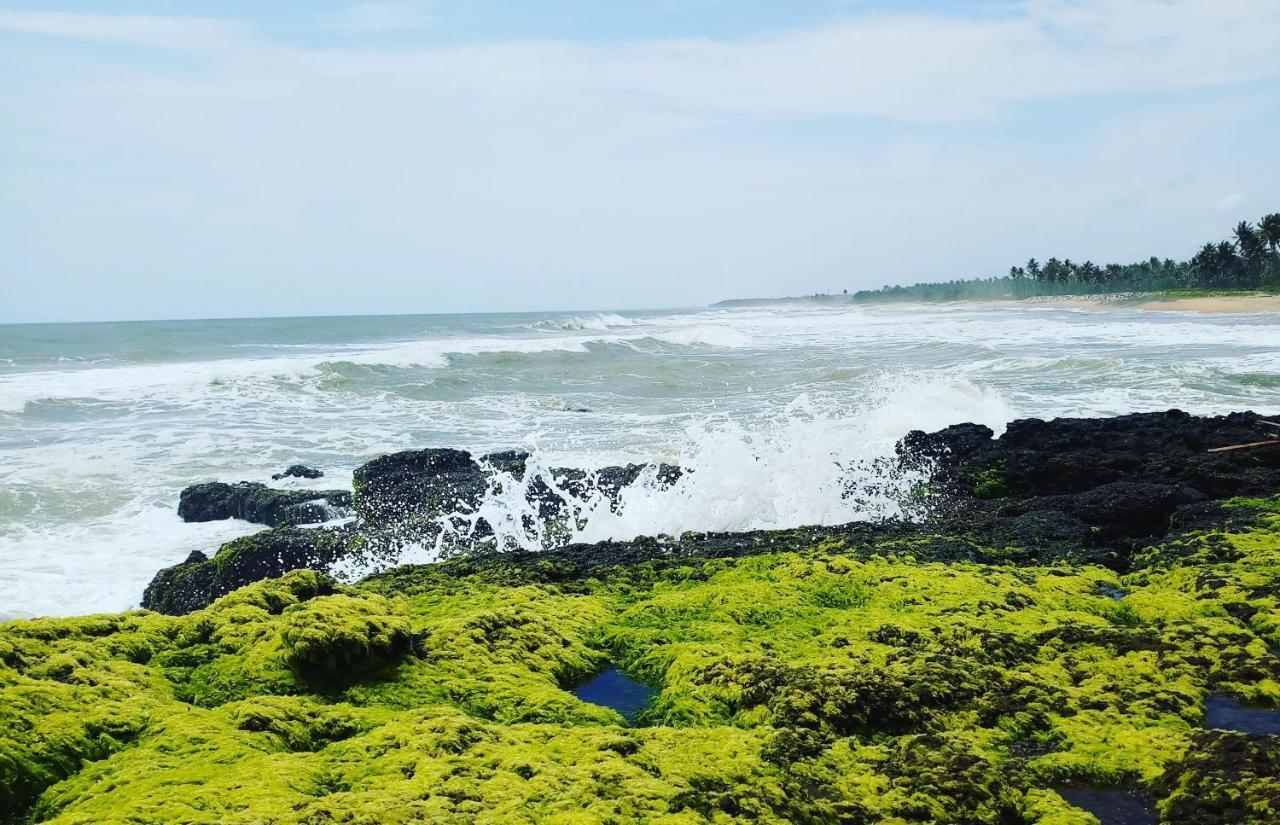 Oceanic Beach Residency Varkala Luaran gambar